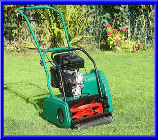 link to lawnmower repair and service